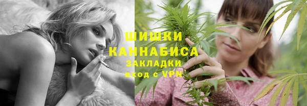 шишки Елизово