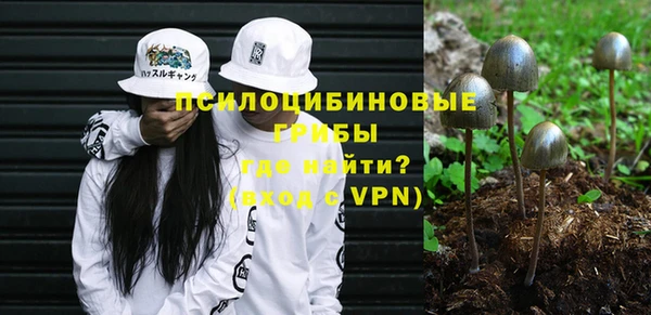 прущий лед Армянск