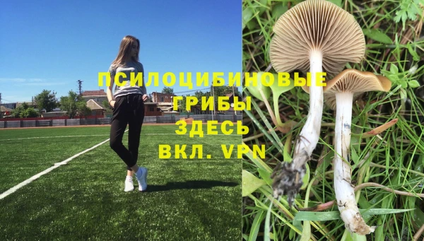 метадон Аркадак